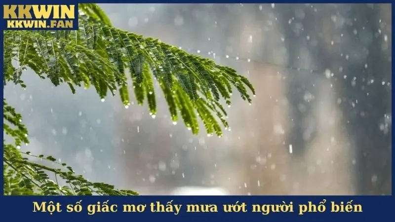 Một số giấc mơ thấy mưa ướt người phổ biến